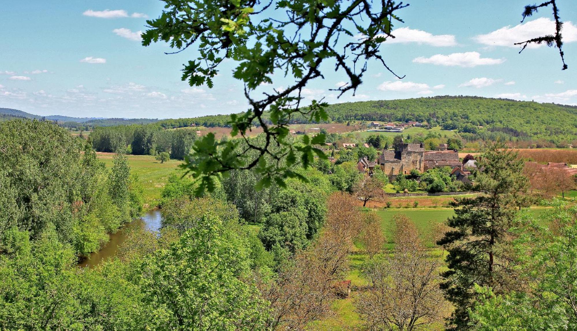 Auberge De Castel-Merle Sergeac Exterior photo