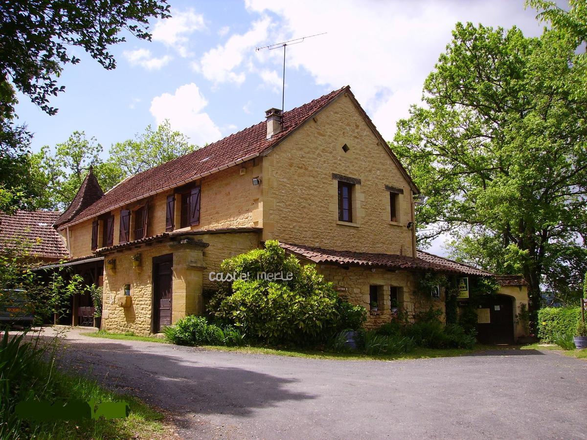 Auberge De Castel-Merle Sergeac Exterior photo