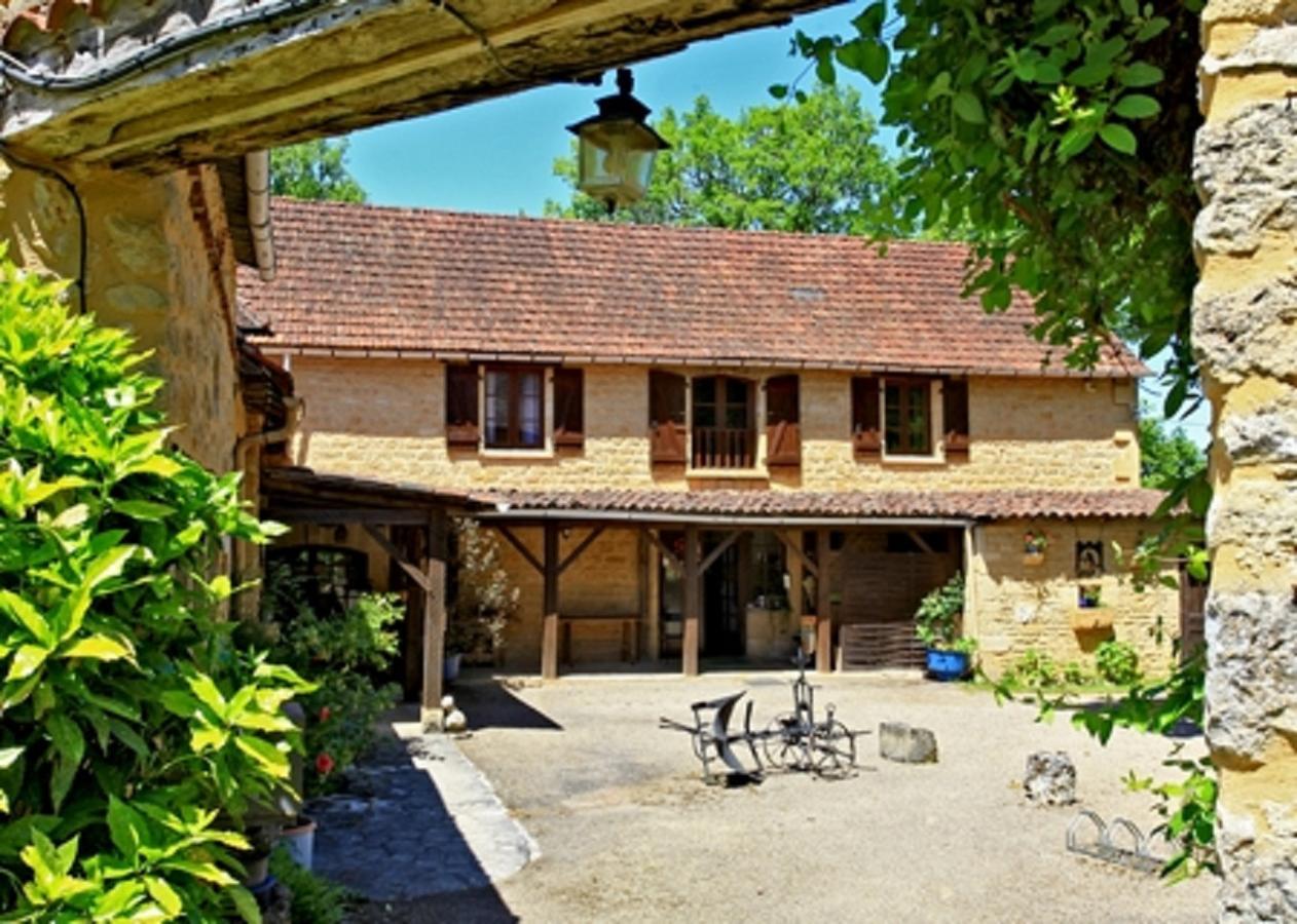 Auberge De Castel-Merle Sergeac Exterior photo